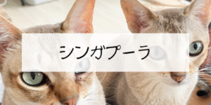 ちーまこStyle